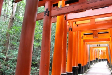 着いたらまずここへ！ 京都駅から近い観光スポット！