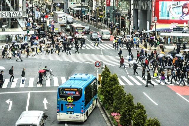 Enjoy Sightseeing in Tokyo even on a Rainy Day!