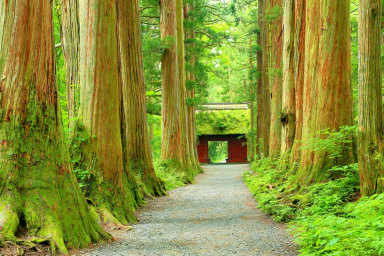 長野県といったらここ！善光寺など観光名所をご紹介