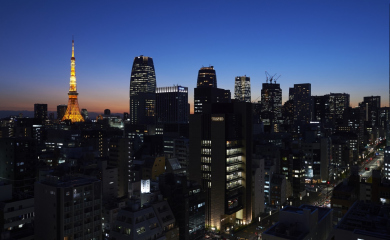 高層階からの夜景　スーペリアシングル・ダブルルームから