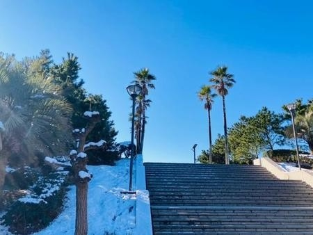 江の島や海岸のようす