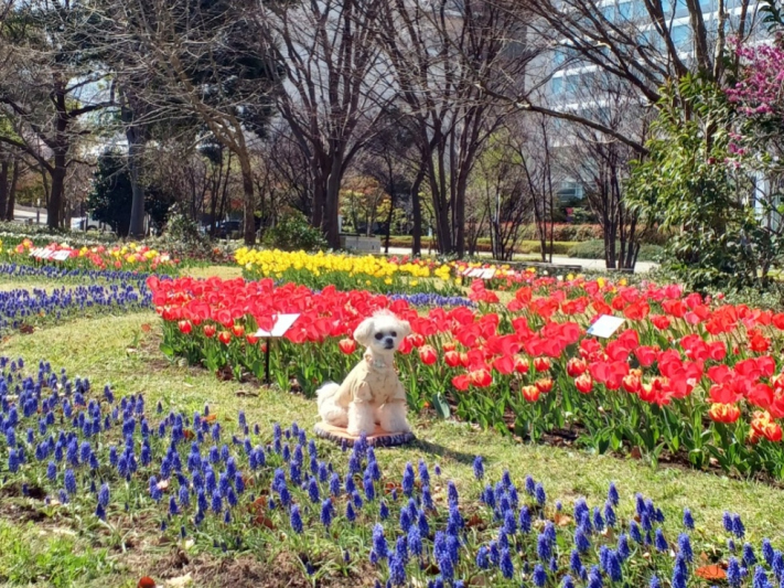 わん映え写真♪