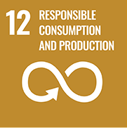 12 Responsible consumption and production